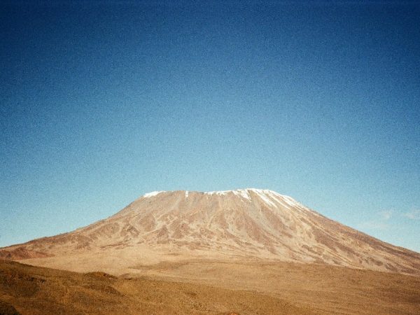 kilimanjaro