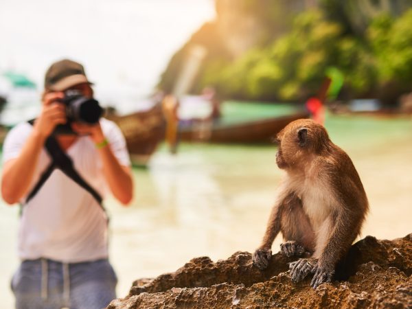 Man, camera and monkey with sunshine, beach and tropical island with getaway trip, Bali and seaside. Person, photographer and tourist with memory, travel and summer with wild animal and adventure.