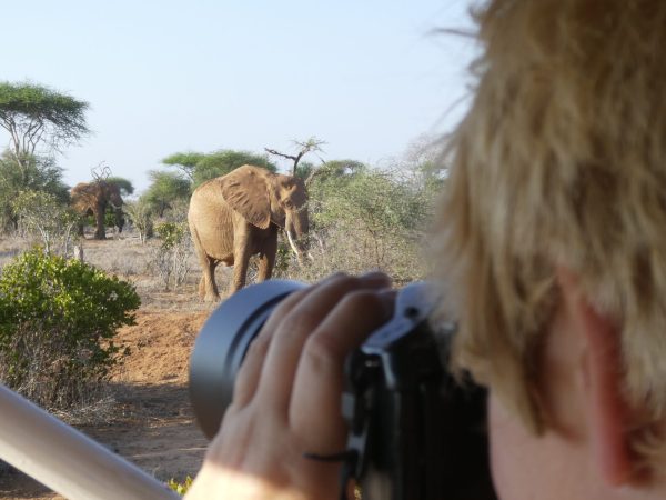 man-photographing-elephant-field