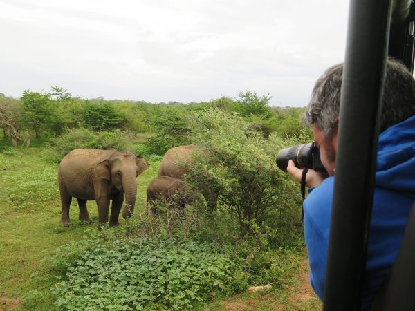 man-photographing-elephants-standing-field