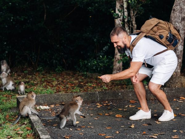 Mauritius island. a tourist with a backpack feeds monkeys by the side of the road in the jungle.A traveler in a white t shirt with a backpack plays with monkeys in Africa the island of Mauritius. SSUCv3H4sIAAAAAAAACpxUSW7cMBC8B8gfBjxbADdxyR/ygsAHSuTMENaIA5FyHBj+e1oLJcp2kCA3sbqaXd3N0uvXL6cTakz0Lfp2ep1OcPZdN8Y0mORDDzB+WPHB9dYNJfI8MIFLwFmfwuBNV4KNSe21NzcHYD923QS/zUEUk0ljdLGobgdnbjH5mU7yHYSy4VwCxobGxRTapxK17h6iT/drSCGWgXvobV0Crenn7Jl6YPqXZA7M0IVxaMLLgTWl2bE/iLyFaWSuczfXp6k8lXsoFqqKCbQmuQuM7DCDvJEfy/mUA6vyBCGEHgosjs2MZWi5/L8yl4/Hbc4X17e/Jm1vheoBmjTL3laNqBW1Ely0FZOkqbiqTWVqSSvesDNpmFEUN3OV5Wr09DO54VZ2/d2Mg09+LG4FVGCt1SrvsZBgRutDkf0cWtNNqawg3Qff+v4yy1+QkK7zG85pbRj7NEwNIorzZFAXwt003bTdNIwuw1cTI/AtwGco5so9gmXCrSjUhzTPZx03srDo6UgYrbmmREvoTEitBCq9cPVwz6wnKxzvXTDWTUW3ZaJ4HRPMbzOAwJzWAqv8Fj8YqdZESVZLvhM2T+VYvceO9soEtRMafzn6Z+Wo/OQ/c+MnnM2Ya0wXsQ8eXThCFl1udq01Z/D+dNHEwbkCw8ilJGyPH00pCOZcwkJ2gov3PFwOz7uIfLA6kDRlUEIvnOzAyWA3D7v6l/0R+qf1KKXxX6avFae4nEz5ixJL91R83pyEzFX34e8MJbwtPfpONyKK15RwheXmnawbTNSY9mosxVhgzOVur/fyEZNYwYBrslEWdXA/ViBd8PkPsOry0yyRrmvbiLOtDBMKfjOkrcyZsIpqBU/EspYKC1lvvwEAAP//AwA5ZCEN5QYAAA==