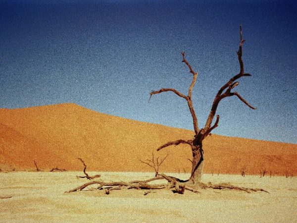 namibii