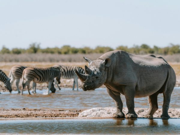 pexels-line-knipst-574109081-26442831