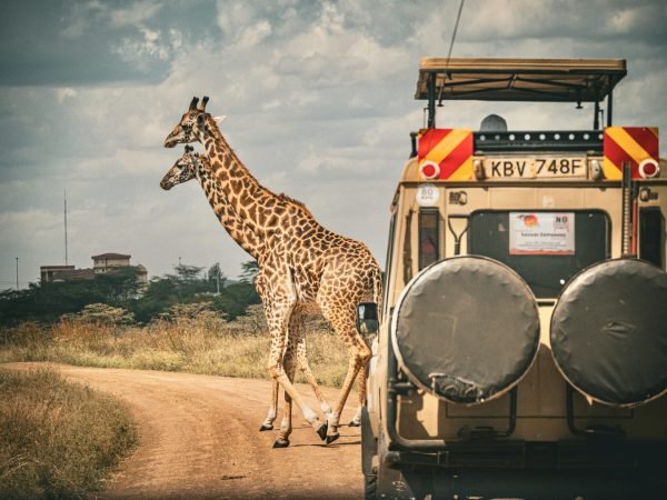 pexels-zacchaeus-rains-262050732-20523197