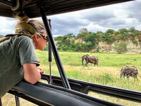 side-view-woman-looking-elephants-while-standing-vehicle-safari