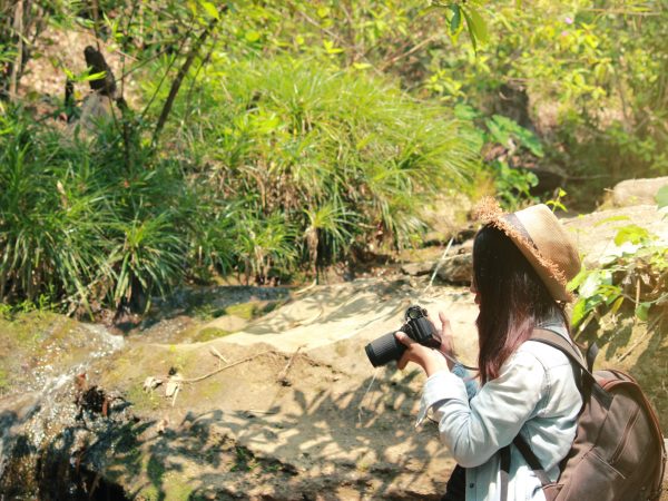 Beautiful woman and camera with backpack in the jungle on the mountain. concept travel, color of vintage tone and soft focus.
