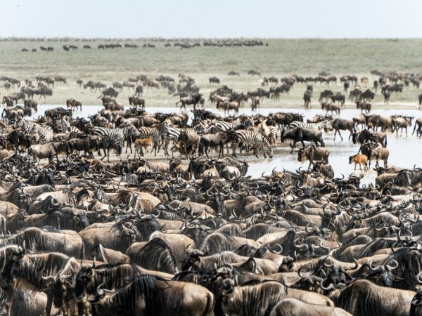 tanzania