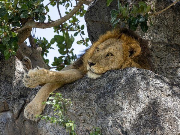 tanzania a