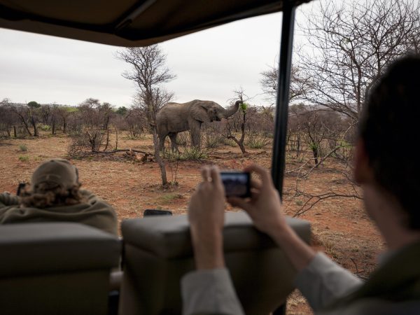 tourists-photographing-wild-animals-wild-life-safari-madikwe-game-reserve-south-africa