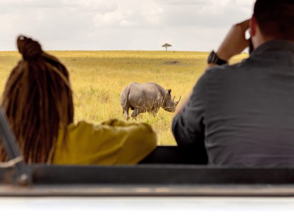 Safari concept. Tourists in Safari car looking at rhinoceros in african savannah. Masai Mara national park, Kenya