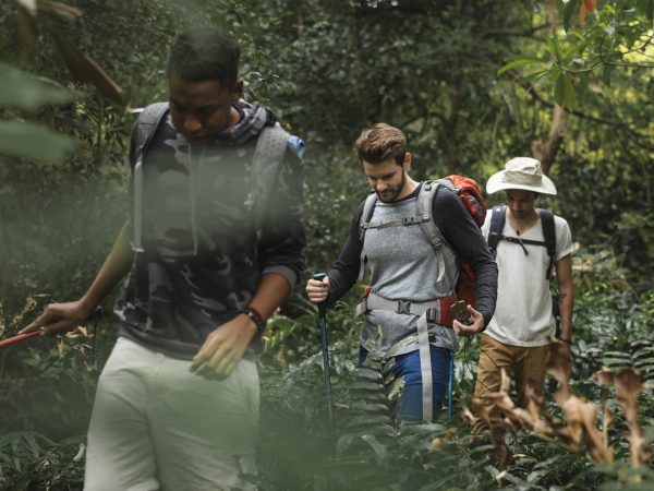 Trekking in a forest